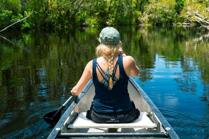 Cruise 'n' Canoe to Australia's Everglades Noosa
